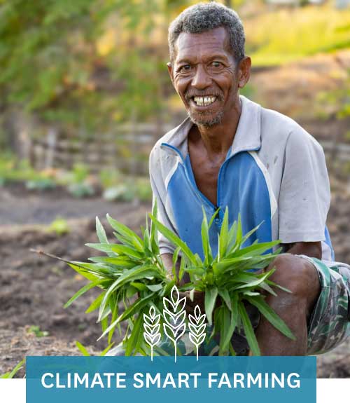 climate smart farming
