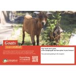 GOATS ecard