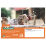 PIGS ecard 2026