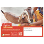 GOATS ecard 2026